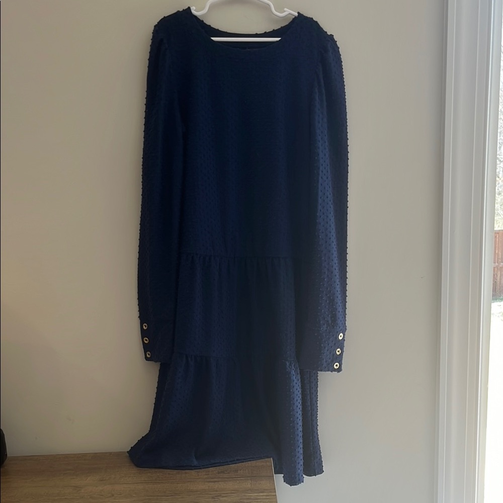 Lilly Navy Long Sleeve Dress